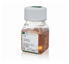 Fisher Scientific Culture Media Gibco® Fetal Bovine Serum Beige Liquid