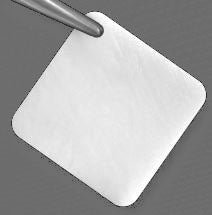 Integra Lifesciences Dermal Repair Scaffold PriMatrix® Fenestrated Collagen 3 X 3 Inch