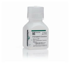 Fisher Scientific Molecular Biology Reagent Invitrogen™ RNAlater™ RNA Stabilizing Solution RNA Preparation / Purification 40 to 70% 500 mL