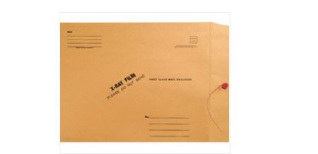 PL Medical Mailing Envelope Gold 11 X 13 Inch