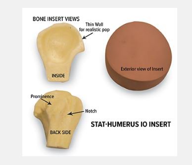 Simulaids Humerus Intraosseous Insert