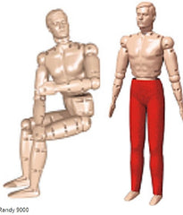Simulaids Randy Manikin Male 68 lbs. Polyethylene