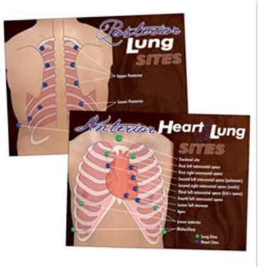 Nasco Heart & Lung Poster Nasco