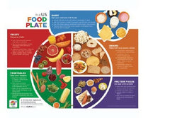 Nasco Food Plate Poster Learning ZoneXpress Laminated