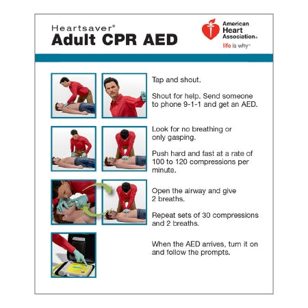 Worldpoint ECC ADULT CPR AED WALLET CARD 100/PK