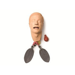 Laerdal Medical Replacement HeadAnd Intubation With Lung