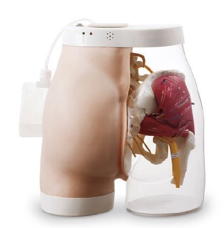 Nasco Intramuscular Injection Model Simlab