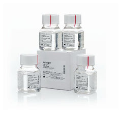 Fisher Scientific Biochemical Invitrogen™ UltraPure™ EDTA (Disodium) Molecular Biology Grade 0.5 M / pH 8.0 4 X 100 mL