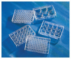 Fisher Scientific Multiwell Cell Culture Plate Costar™ Polystyrene