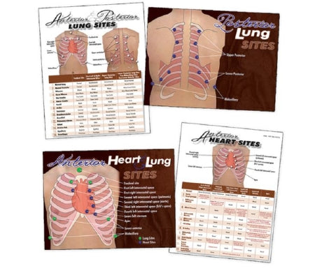 Nasco Heart & Lung Sites Visual Aids Complete Set Nasco™