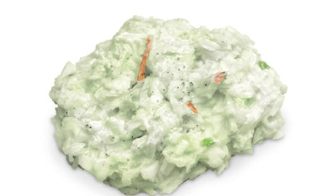 Nasco Coleslaw Food Replica Life/Form®