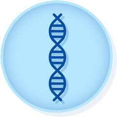 Microbiologics Inc Molecular Diagnostic Control Helix Elite™ Inactivated Influenza A / B and Respiratory Syncytial Virus (Inactivated)