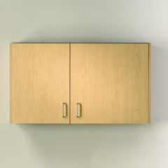 Clinton Industries Wall Cabinet Quick Care Wall Mount Laminate 1 Adjustable Shelf