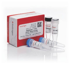 Fisher Scientific PCR Reagent Invitrogen™ Platinum™ Taq DNA Polymerase PCR Enzyme Proprietary Mix 600 Reactions