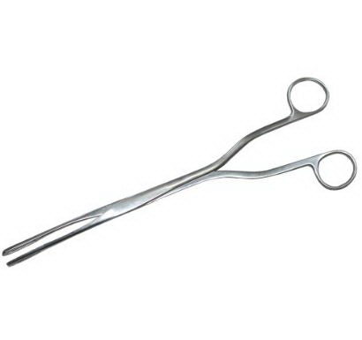 Medgyn Products Ovum Forceps MedGyn Hern-Van-Lyth 9-1/2 Inch Length Surgical Grade Stainless Steel NonSterile NonLocking Finger Ring Handle Curved 9 mm Jaws w/ Fine Teeth - M-1090097-3200 - Each