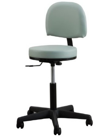 Oakworks Exam Stool Premium Series Backrest Pneumatic Height Adjustment, High Height 5 Casters For Easy Movement Heron