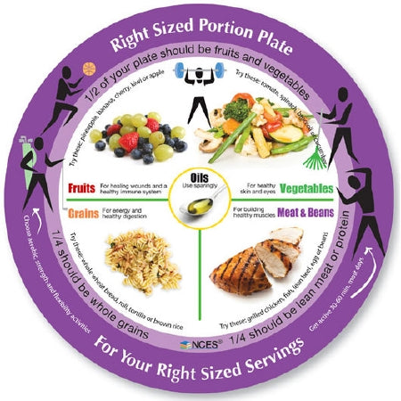 Nasco Nutritional Guide Plate NCES Melamine