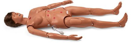 Nasco Hospital Training Manikin Gaumard® Susie/Simon® Male / Female Interchangeable Adult 46 lbs.