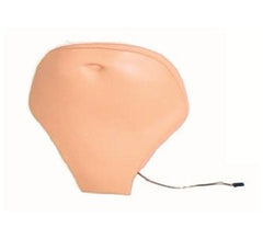 Laerdal Medical Replacement Abdominal Plate Laerdal® Non-Gender Specific Adult