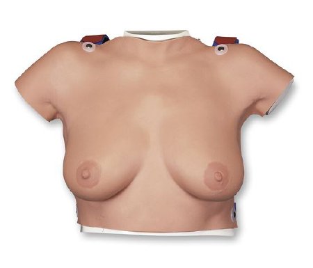 Nasco Breast Self-Examination Model American 3B Scientific Female Adult 16 lbs. Silicone