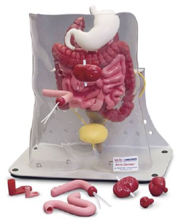 Nasco Ostomy Model Complete Otto Ostomy™ Package 12 lbs.