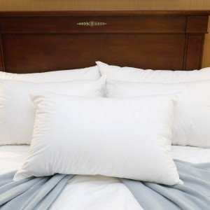 Royal Blue Intl Bed Pillow Medium 20 X 26 Inch White Reusable