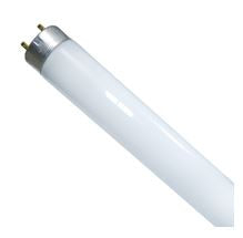 Bulbtronics Florescent Light Bulb 32 Watts
