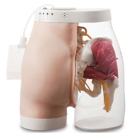 Nasco Intramuscular Injection Simulator Buttocks Type 2 Non-Gender Specific Adult 22 lbs.