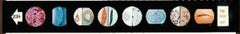 Ward's Science MICROSLIDE SET, ANIMAL KINGDOM15PIECES