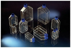 Thermo Scientific Nalge Culture Flask Nunc™ Nunclon™ Cell Culture Polystyrene 7 mL