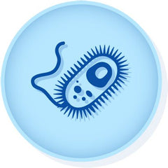 Microbiologics Inc CONTROL, E COLI ATCC 35218 D/S