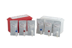 Microbiologics Inc Molecular Diagnostic Control Panel Helix Elite™ Gram-Positive Blood Culture Positive Level