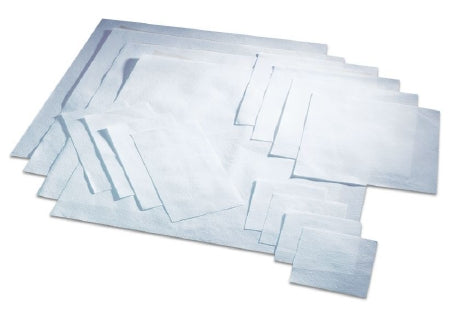 Safetec of America Absorbent Sheet Zorb Sheet 3 X 6 Inch For use with Diagnostic Specimens, Infectious Substances and Dangerous Goods