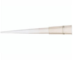 DWK Life Sciences LLC Pipette Tip Wheaton® 1 to 200 µL Without Graduations NonSterile