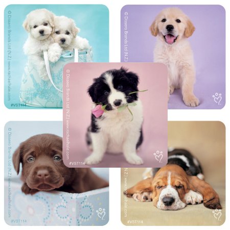 SmileMakers ValueStickers™ 250 per Unit Rachael Hale Dogs Sticker 1.625 Inch