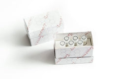 ZeptoMetrix Corp Molecular Diagnostic Quality Control NATtrol™ Flu / RSV / SARS-CoV-2 Positive Level 6 X 0.5 mL