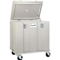 Cole-Parmer Inst. Dry Ice Storage / Transport Chest ThermoSafe® 13-1/2 X 21 X 24 Inch Inside Dimensions Gray Polyurethane Insulation 200 lbs. Ice Capacity