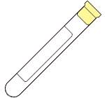 Becton Dickinson BD Vacutainer® Venous Blood Collection Tube Whole Blood Tube Sodium Polyanethol Sulfonate Additive 16 X 100 mm 8.3 mL Yellow Conventional Closure Glass Tube