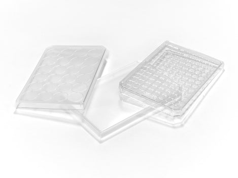 Caplugs Well Plate Lid Polypropylene For 96 Well Plate NonSterile - M-1036004-3294 | Box of 105