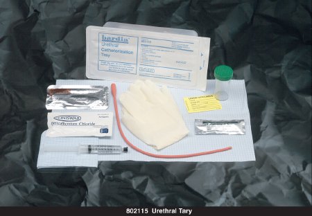 Bard Intermittent Catheter Tray Bardia® Urethral 15 Fr. Without Balloon Red Rubber