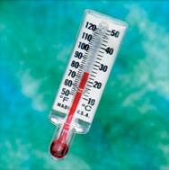 Teleflex LLC Thermometer