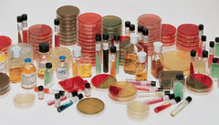 Troy Biologicals Prepared Media Uricheck CLED Agar with Polymixin B