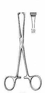 Miltex Tissue Forceps Miltex® Boys-Allis 6 Inch Length OR Grade German Stainless Steel NonSterile Ratchet Lock Finger Ring Handle Straight Heavy 5 X 6 Teeth - M-461664-2305 - Each