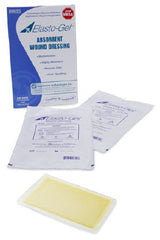 Southwest Technologies Wound Dressing Elasto-Gel™ 6 X 8 Inch