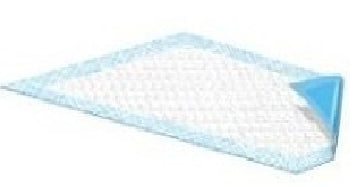 Griffin Care Underpad 23 X 36 Inch Disposable Pulp Light Absorbency - M-259375-2837 - Case of 150