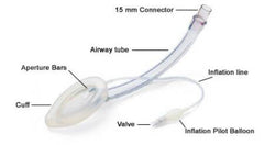 Teleflex LLC LMA® Unique™ Plus Pack Laryngeal Mask Adult User Size 5 Clear Sterile Disposable