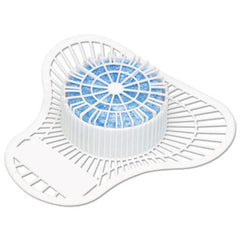 Big D Industries Non-Para Urinal Screen, Lasts 30 Days, White, Evergreen Fragrance, 12/Box
