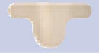 BSN Medical Adhesive Strip Coverlet® 1-3/8 X 2-1/2 Inch Fabric Toe Tan NonSterile