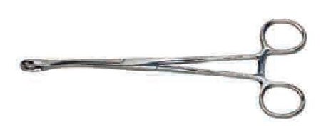 Graham-Field Sponge Forceps Grafco® Ballenger 7 Inch Length Stainless steel NonSterile Ratchet Lock Finger Ring Handle Straight Serrated Tips - M-295593-3921 - Each