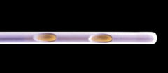 Cook Medical Urodynamic Catheter Double Lumen 7 Fr. Polyurethane